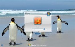 Splash Silver LogonVista